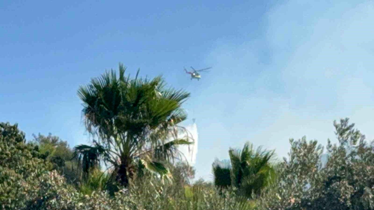 Muğla'da Orman Yangınlarıyla Mücadele Devam Ediyor