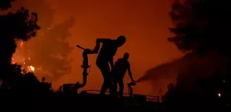 Orman yangınlarında hayatını kaybedenler şehit sayılacak