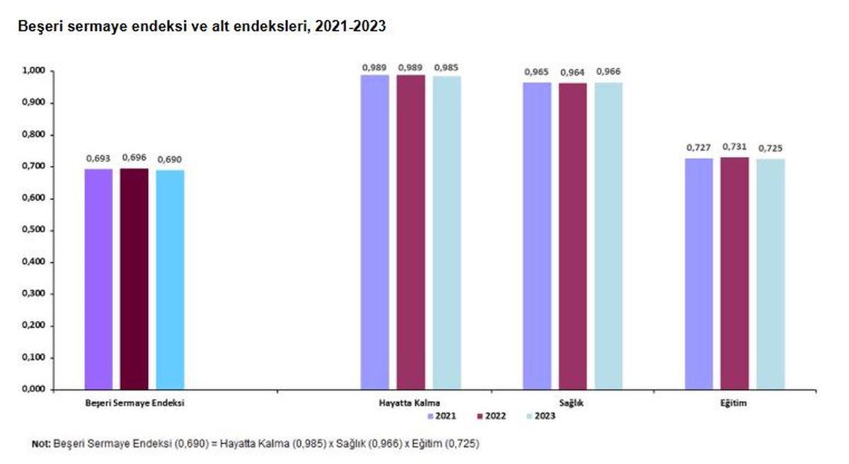 Beşeri Sermaye Endeksi 2023'te 0,690 Olarak Belirlendi