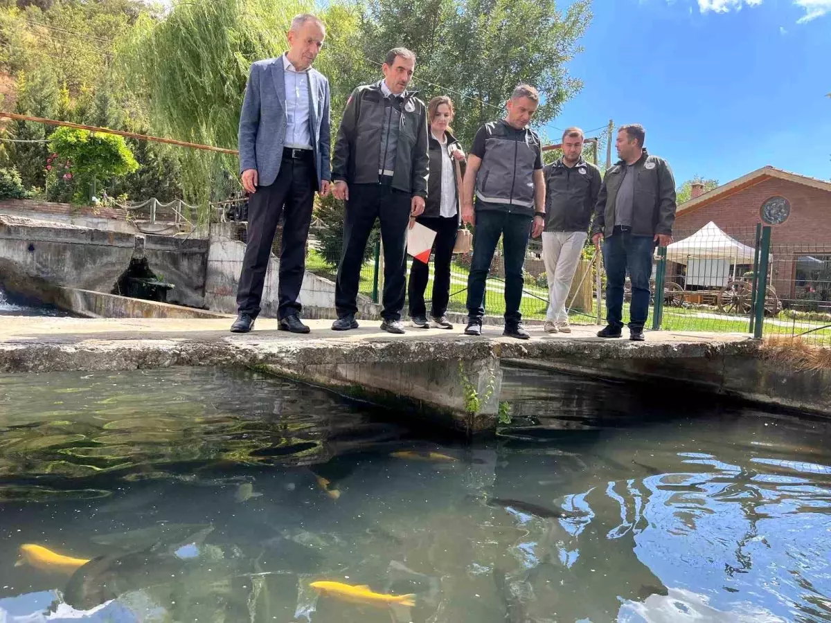 Bilecik'te Alabalık Yetiştiriciliği ve İşleme Tesisleri İncelendi