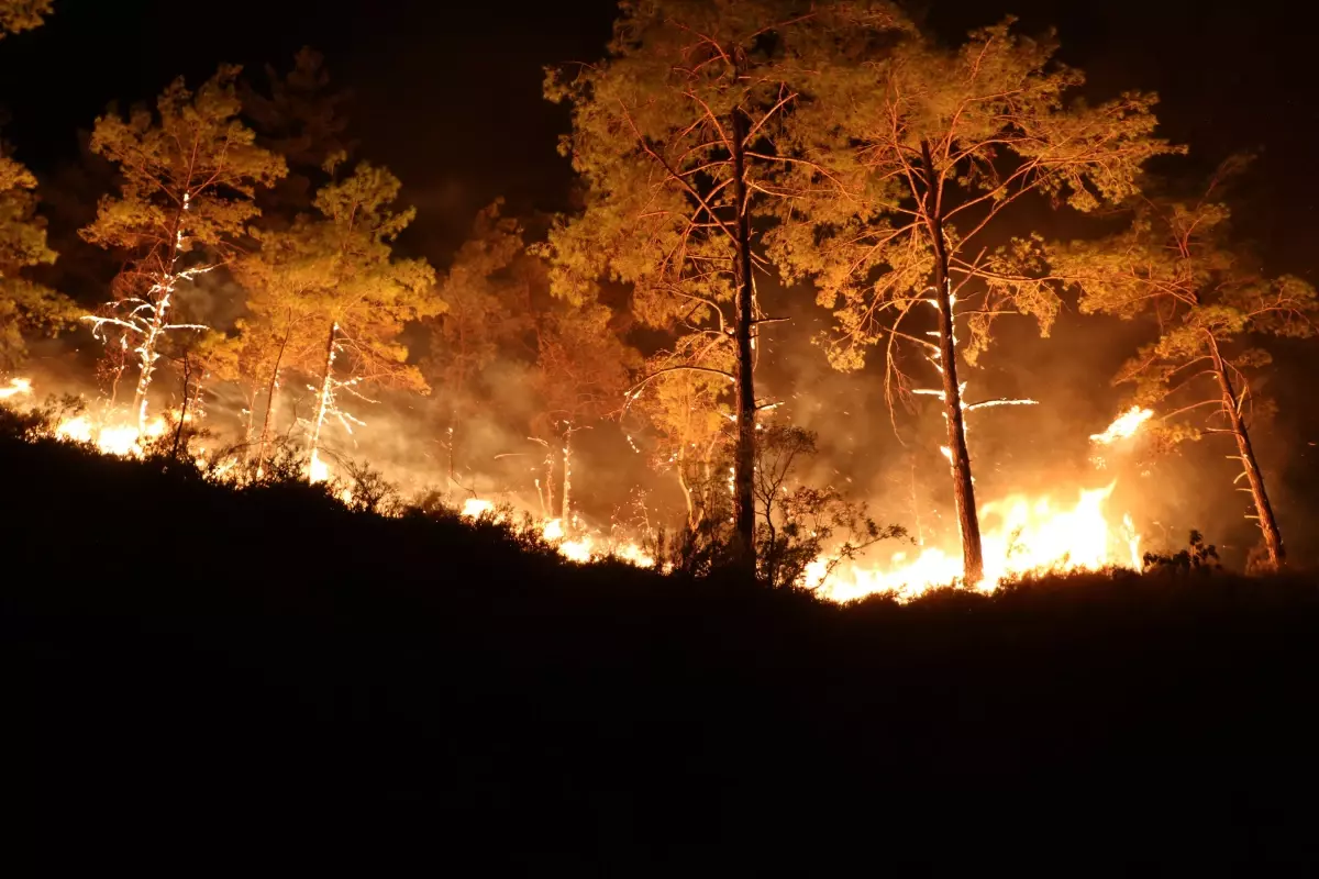 Antalya Alanya'da Orman Yangınlarıyla Mücadele Sürüyor