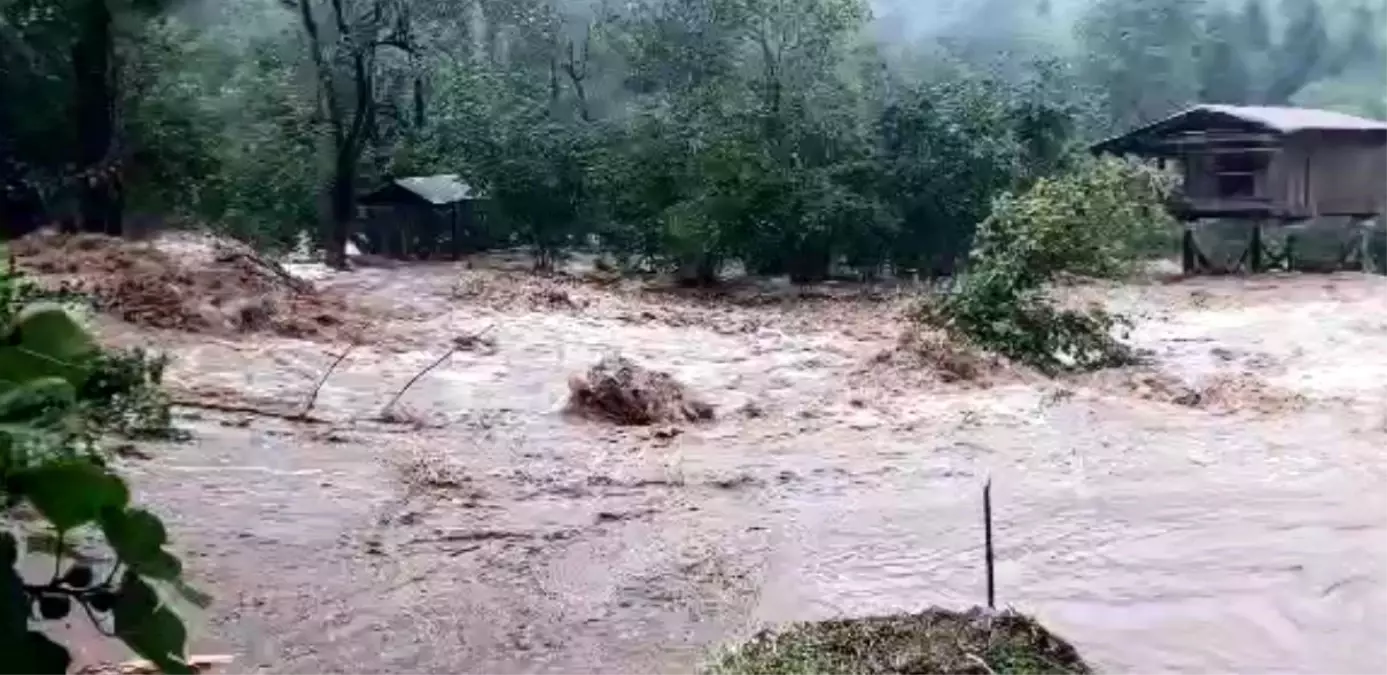 Artvin'de Sağanak Yağışlar Sel ve Heyelanlara Neden Oldu