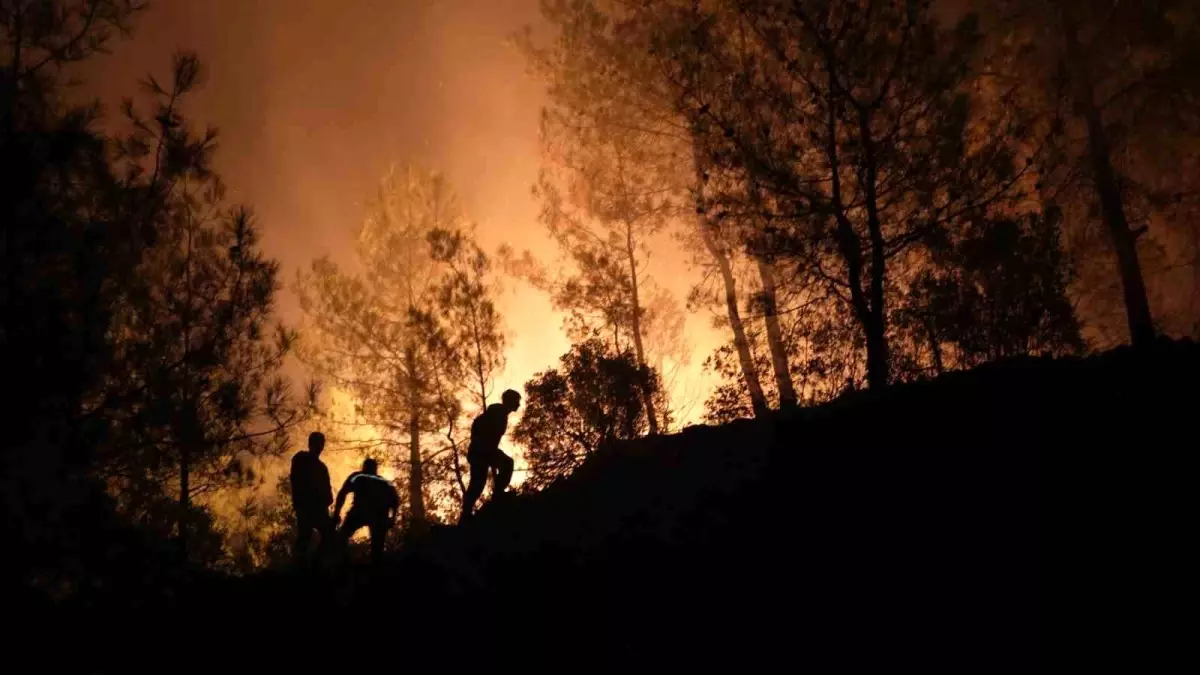 Muğla'daki Orman Yangınlarına Cansiperane Mücadele
