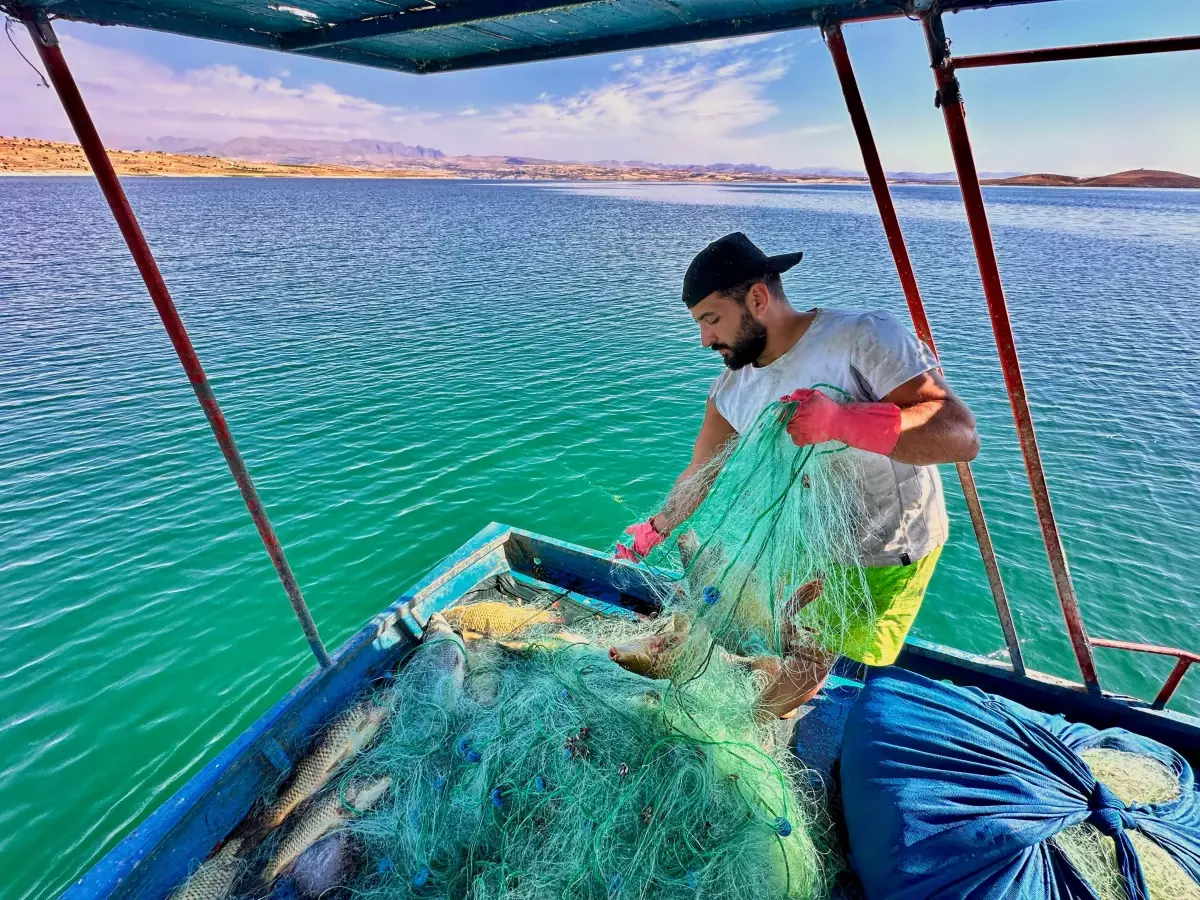 Tunceli'de Balıkçılık yapan Onur Ulaş Demir, Aylık 200 Bin Lira Kazanıyor