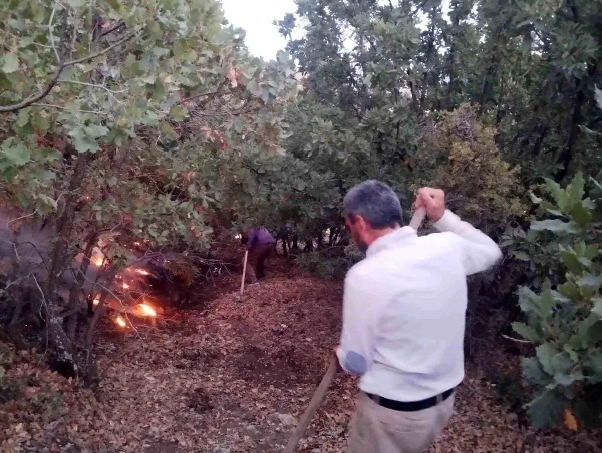 Elazığ'da Orman Yangını Vatandaşların Müdahalesiyle Söndürüldü