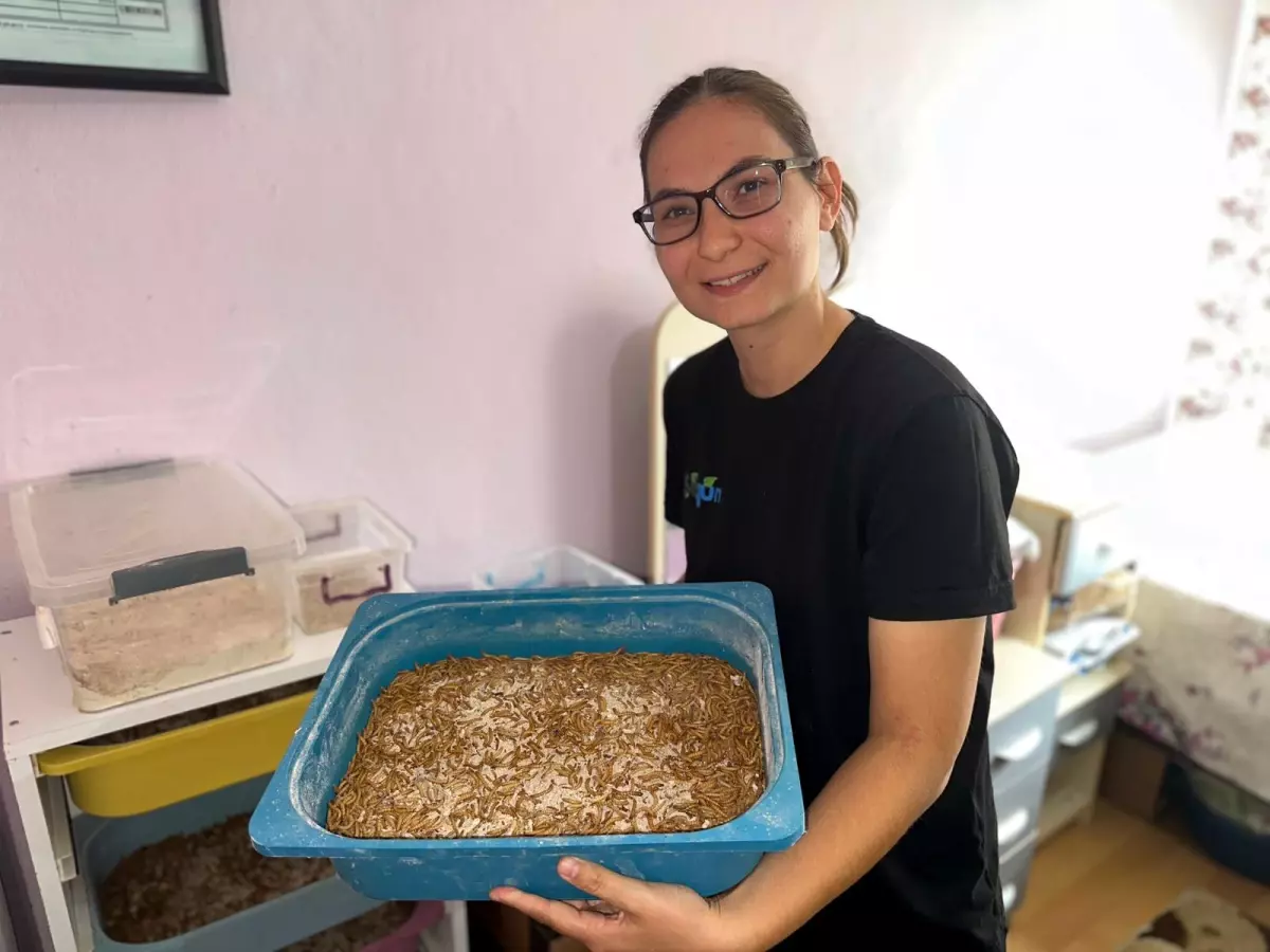 Simay Gün, Doğal Yöntemlerle Hayvan Sağlığını Koruyor
