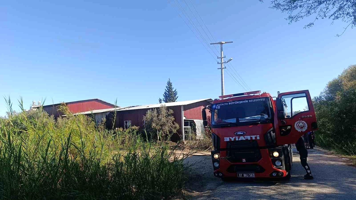 Manavgat'ta Depo Yangını: Büyük Hasar