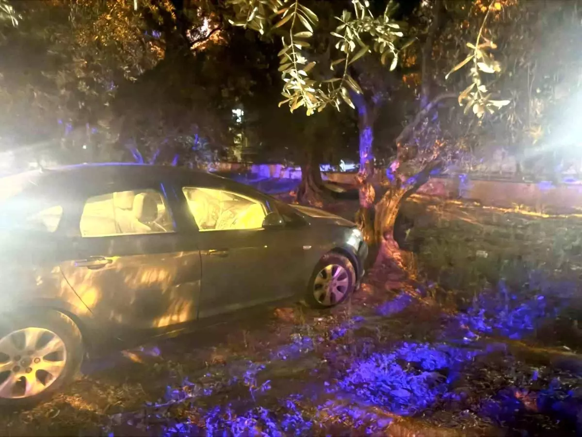 Erdek'te Kontrolden Çıkan Otomobil Zeytin Bahçesine Girdi: 1 Yaralı