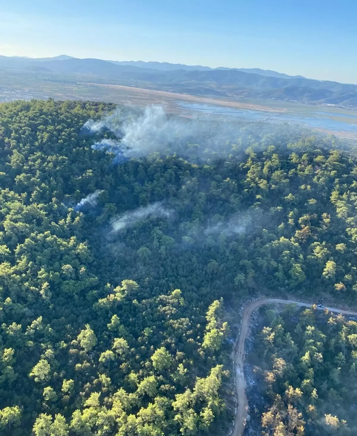Muğla'da Orman Yangını İkinci Günde de Sürüyor