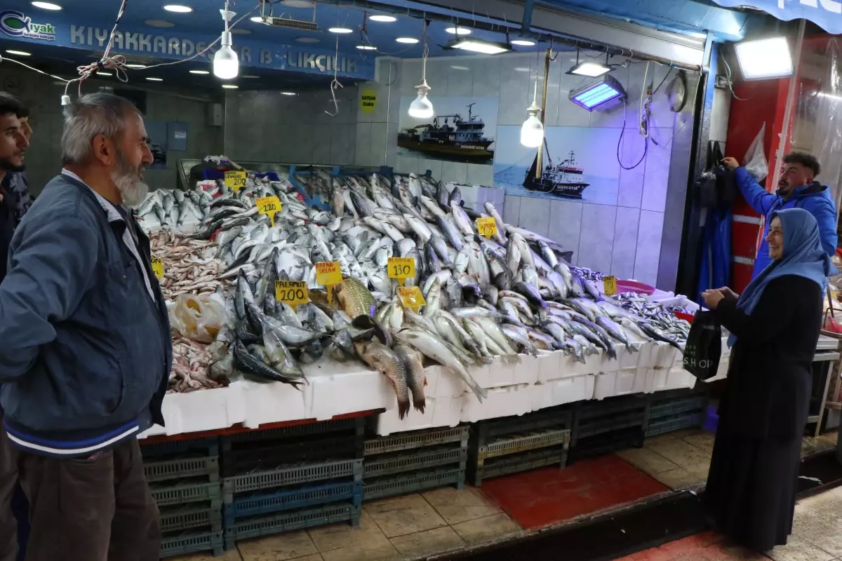 Karadeniz'de Balık Çeşitliliği Arttı, Fiyatlar Uygun