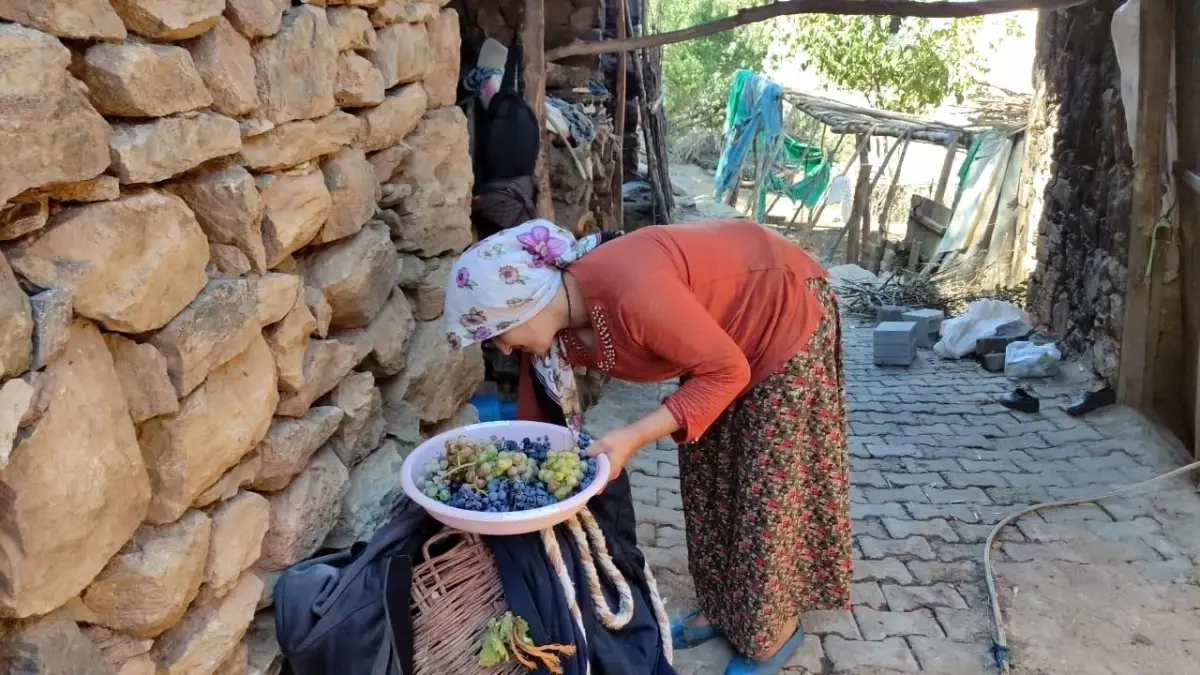 Erzincan Köylüleri Kış İçin Meyve Kurutuyor