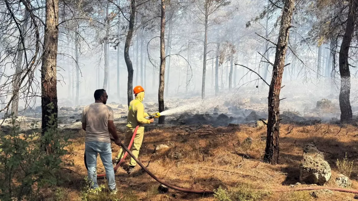 Antalya'da Orman Yangınına Hızlı Müdahale
