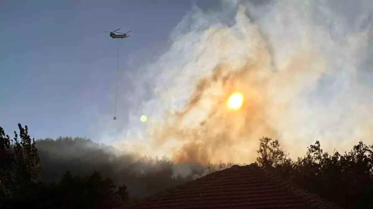 Muğla ve Antalya'daki Orman Yangınları Kontrol Altına Alındı