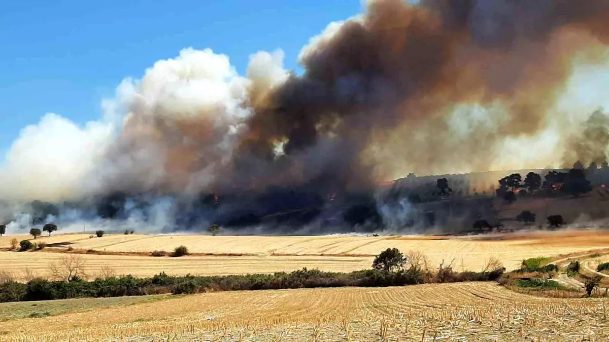Çanakkale'de Orman Yangınına Müdahale Başladı