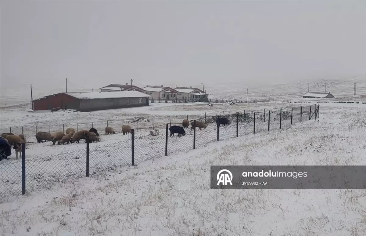 Doğu Karadeniz'in yüksek kesimleri beyaza büründü