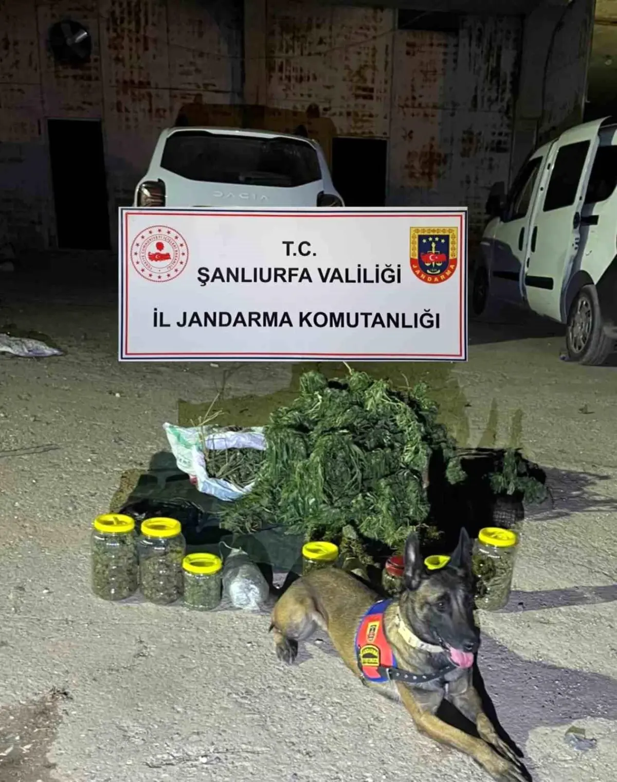 Şanlıurfa'da Jandarma Operasyonu: 13 Kilo Uyuşturucu Ele Geçirildi