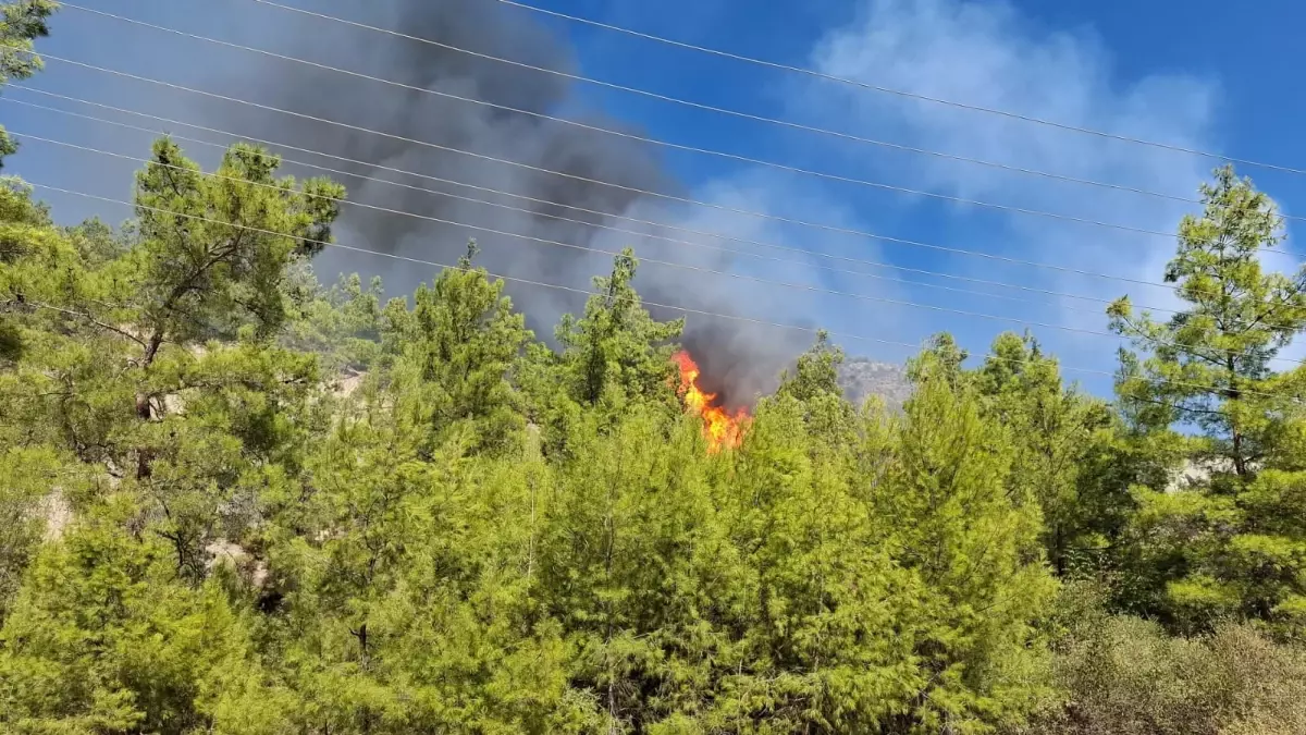 Antalya'da Orman Yangını Çıktı