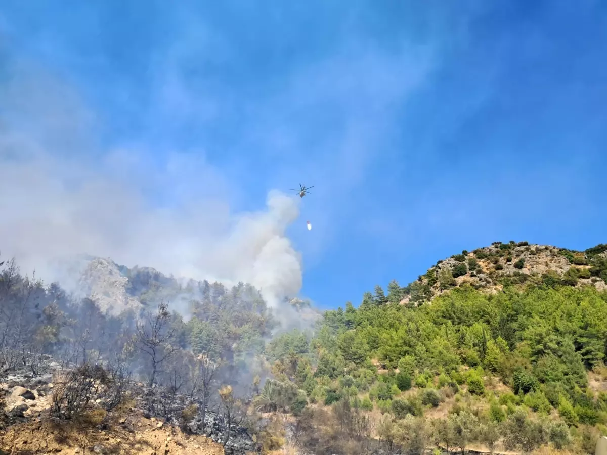 Antalya'daki Orman Yangınına Müdahale Devam Ediyor