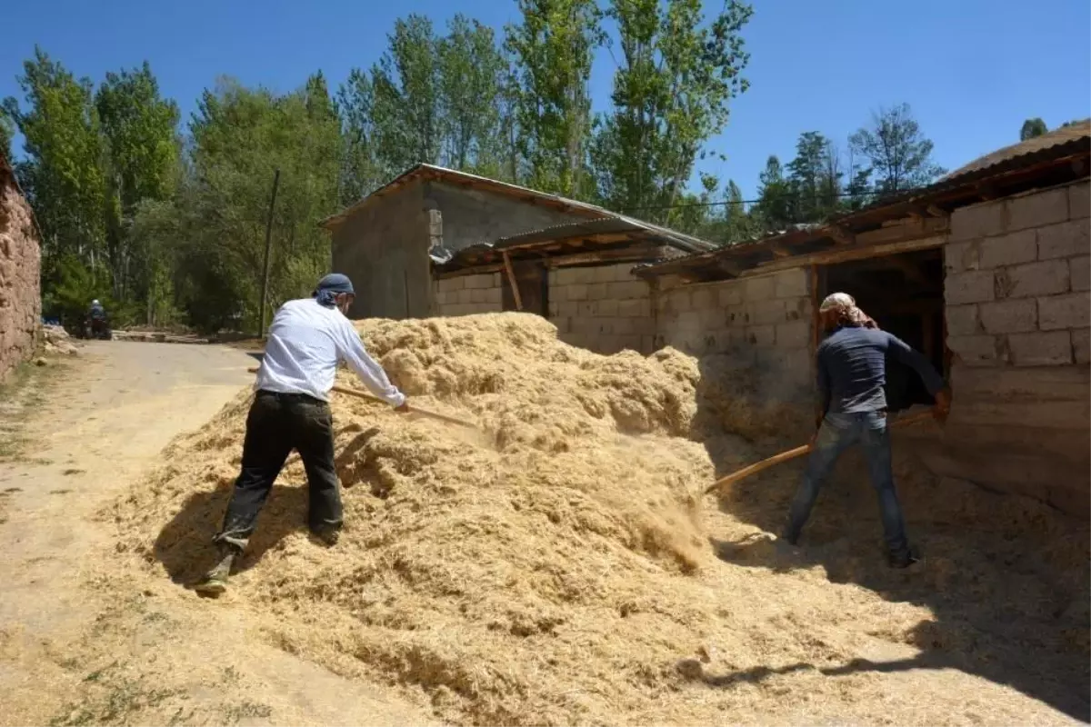 Tercan'da Çiftçiler Kış İçin Samanları Hazırlıyor