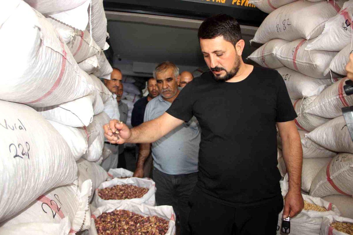 Şanlıurfa'da Fıstık Fiyatları İki Katına Çıktı, Piyasa Durma Noktasında