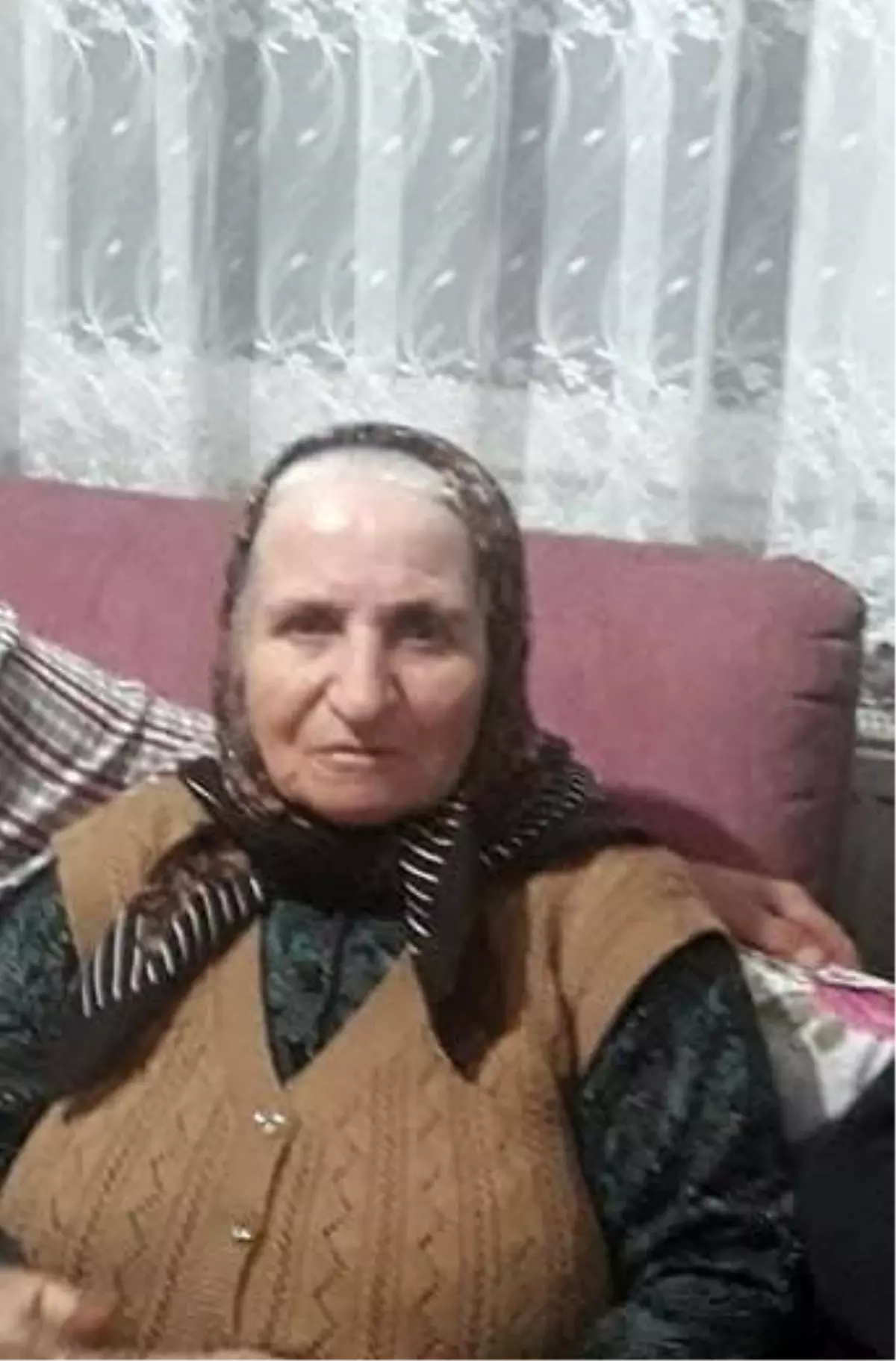 Kocaeli'de Otomobilin Çarptığı 72 Yaşındaki Kadın Hayatını Kaybetti