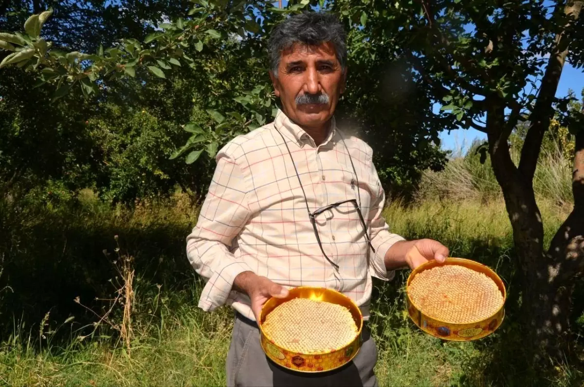 Malatya'da Arıcılıkta Yeni Sezon Başladı: Mehmet Ali Çıplak Uyarıyor