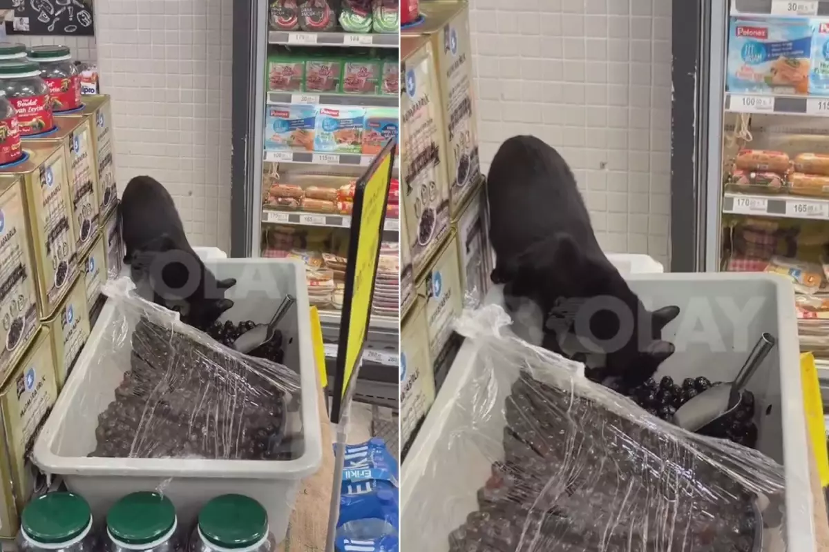 Marketten mide bulandıran görüntüler