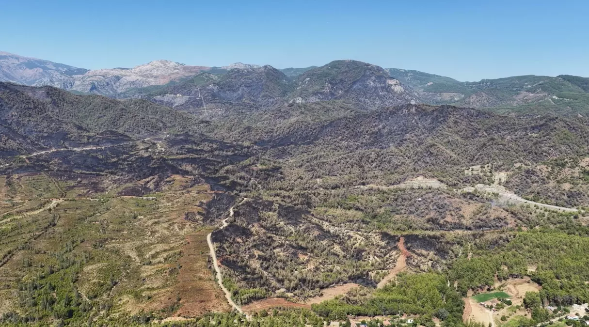 Muğla'daki Orman Yangını 63 Saatte Kontrol Altına Alındı