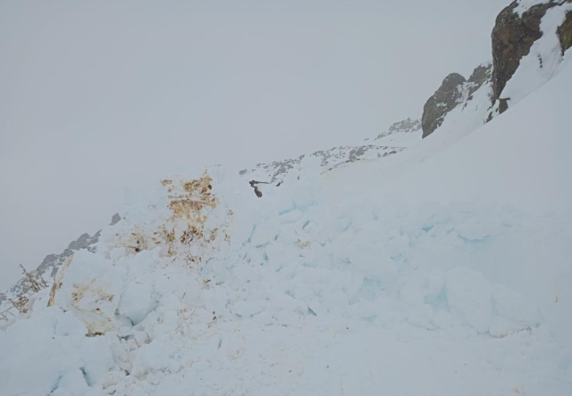 The snow depth in the city reached 30 centimeters, and the shepherd became stranded with his flock