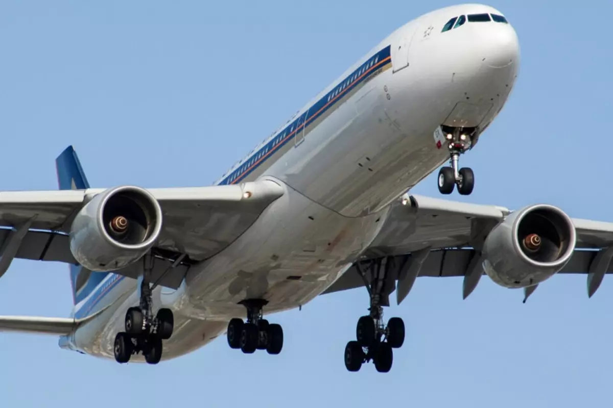 13 yaşındaki çocuk, uçağın iniş takımlarına saklanarak Hindistan'a gitti