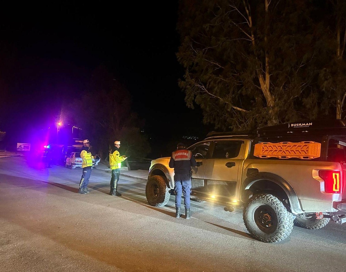 Aydın'da Suç Operasyonları: 292 Şüpheli Yakalandı