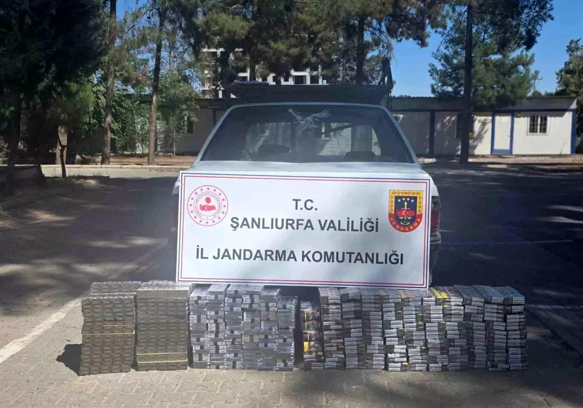 Şanlıurfa'da Gümrük Kaçağı Sigara Operasyonu: 2 Bin 145 Paket Ele Geçirildi
