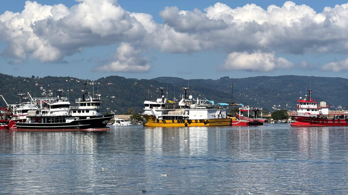 Ordu'da Balıkçılar Hava Koşullarının Normale Dönmesiyle Hamsi Avına Çıktı