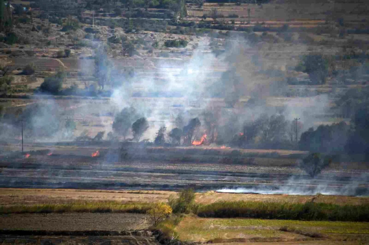 Kastamonu'da Çeltik Tarlasında Yangın