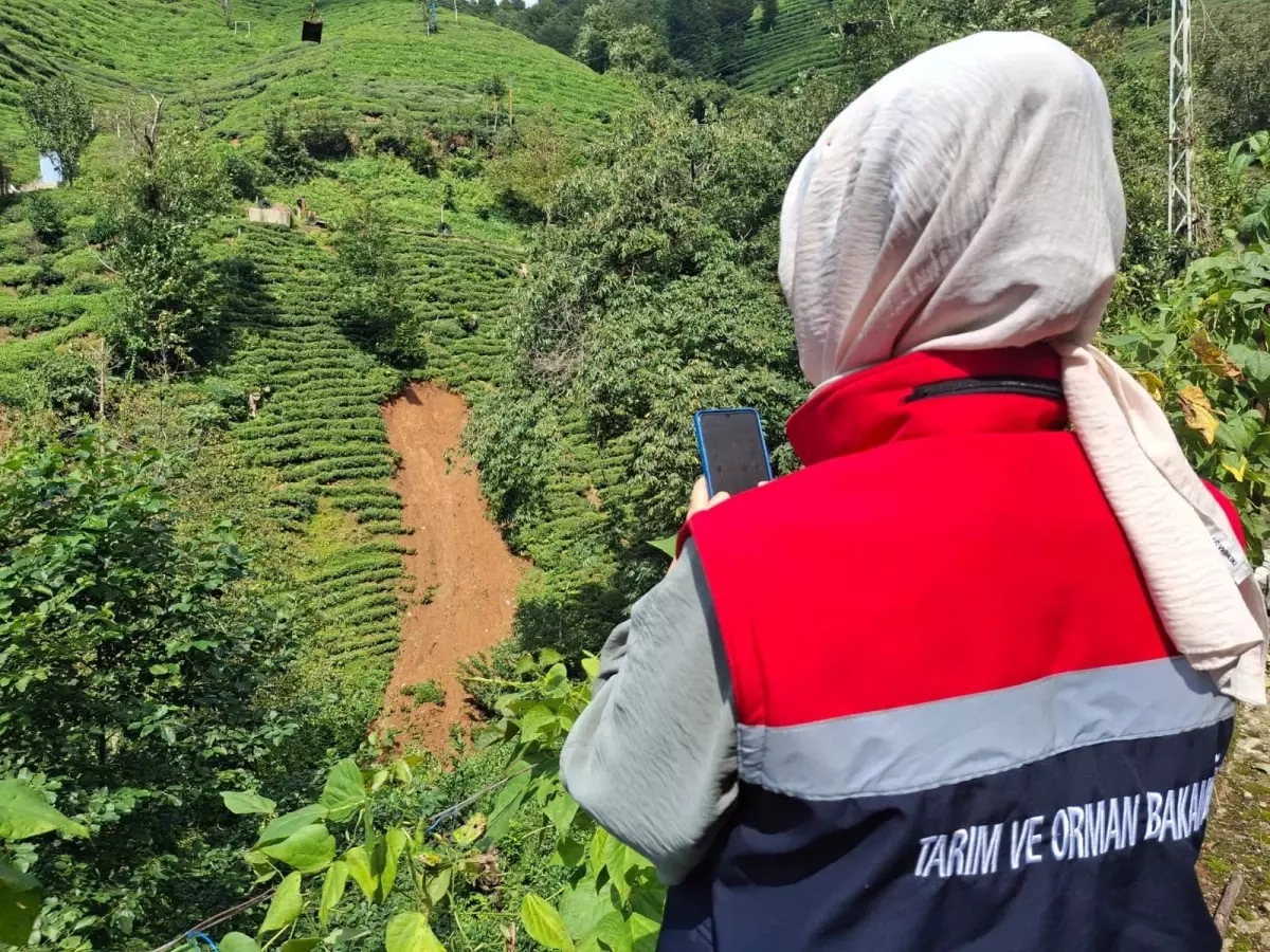Rize ve Artvin'de Şiddetli Sağanak Sonrası Sel Yaraları Sarılıyor