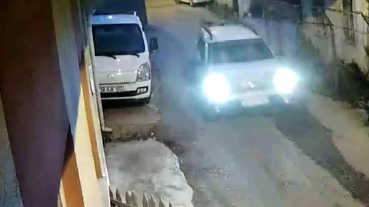Sinop'ta Yola Fırlayan Yavru Kedi Araç Çarpmasıyla Yaralandı