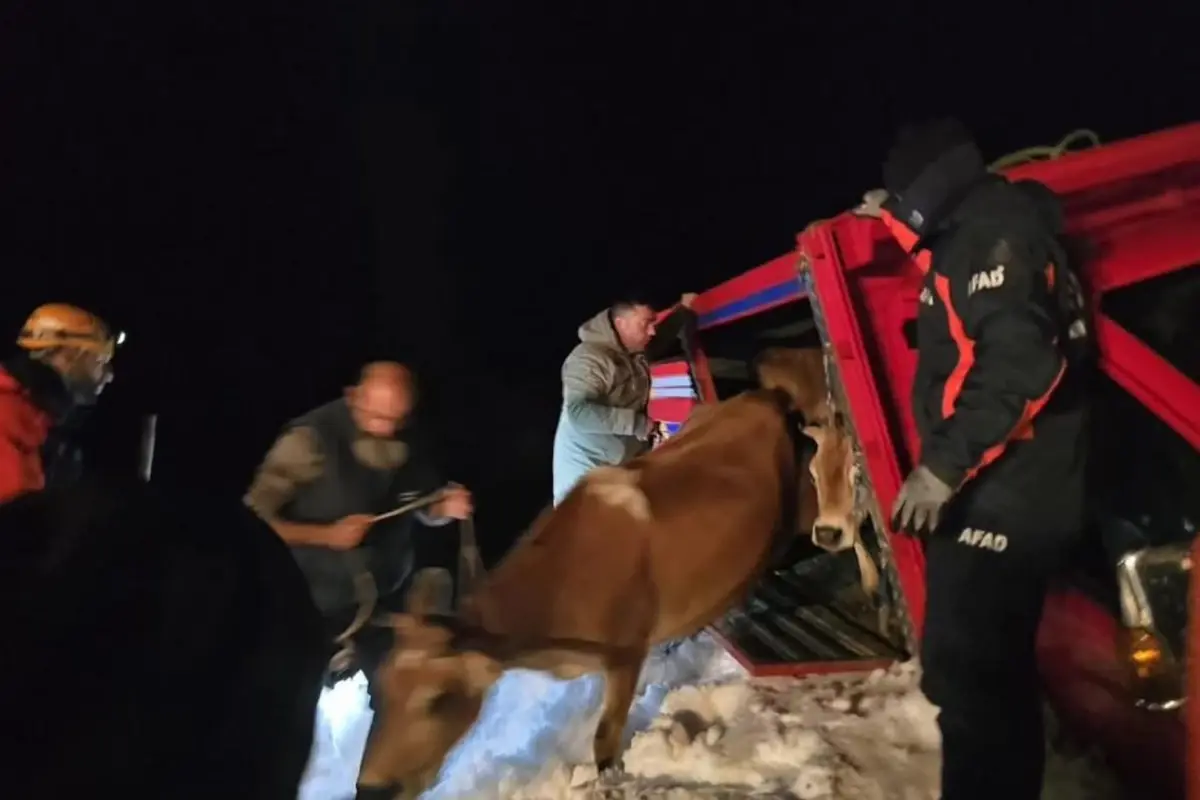 Yaylada içinde 15 kişi olan araçların üzerine çığ düştü