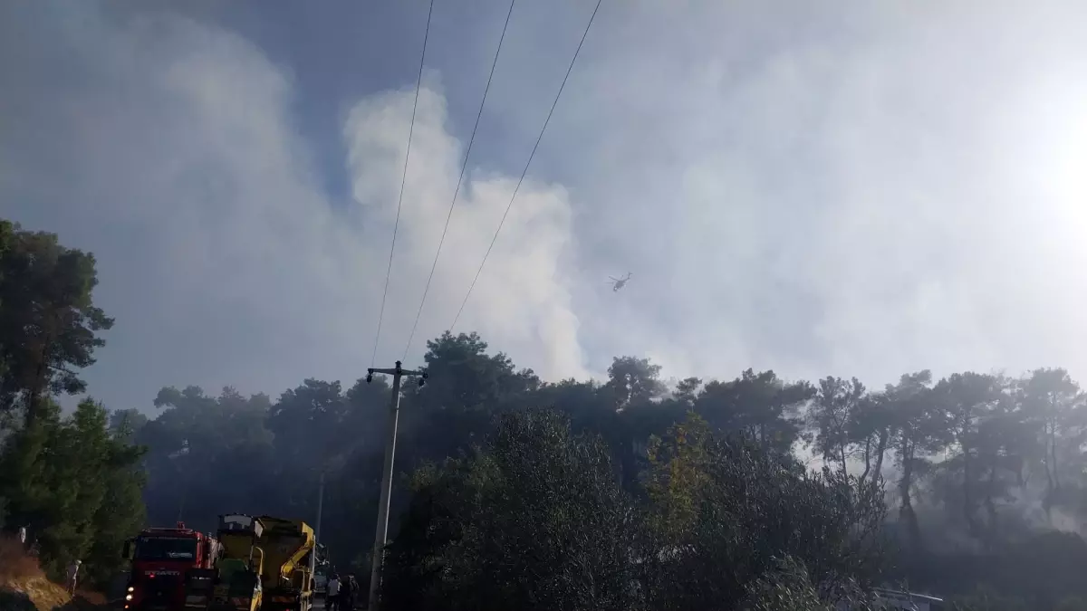 Manavgat'ta Tarım Arazisinde Yangın Kontrol Altına Alındı