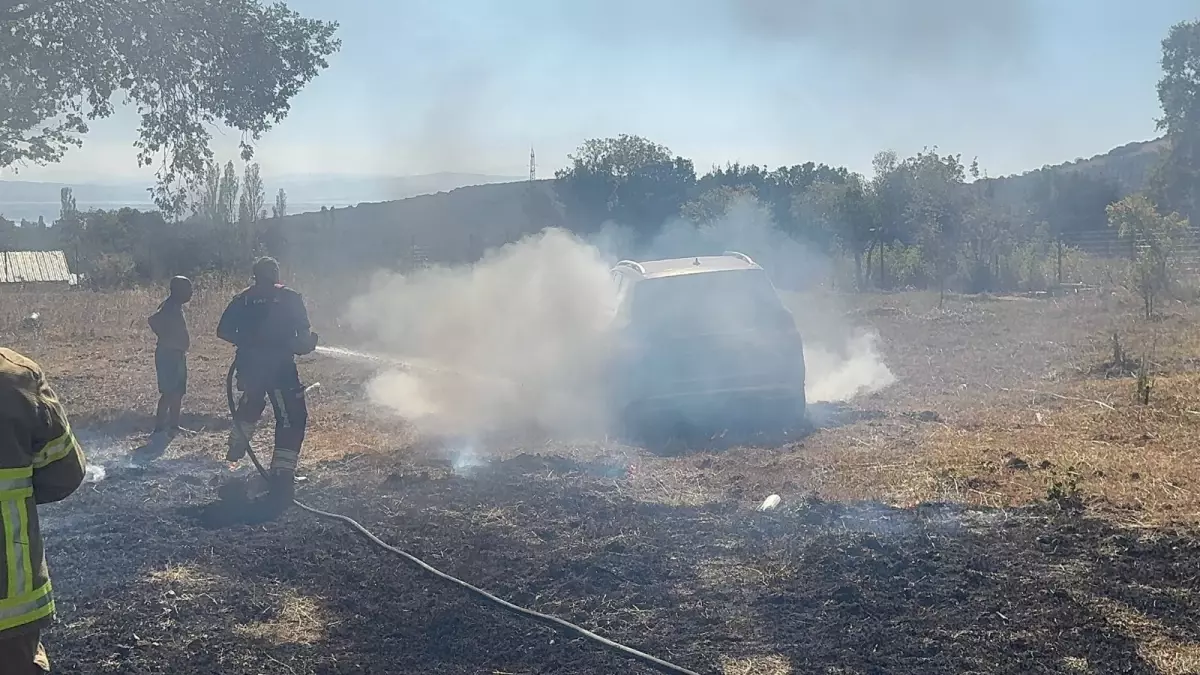 Balıkesir'de Anız Yangını: Zeytin Ağaçları ve Bir Otomobil Zarar Gördü