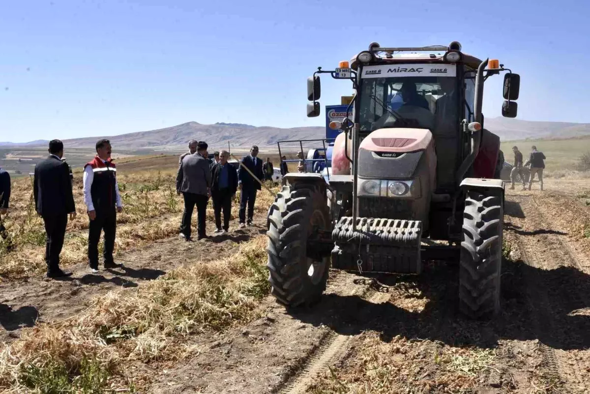 Bitlis'te Kuru Fasulye Hasadı Başladı