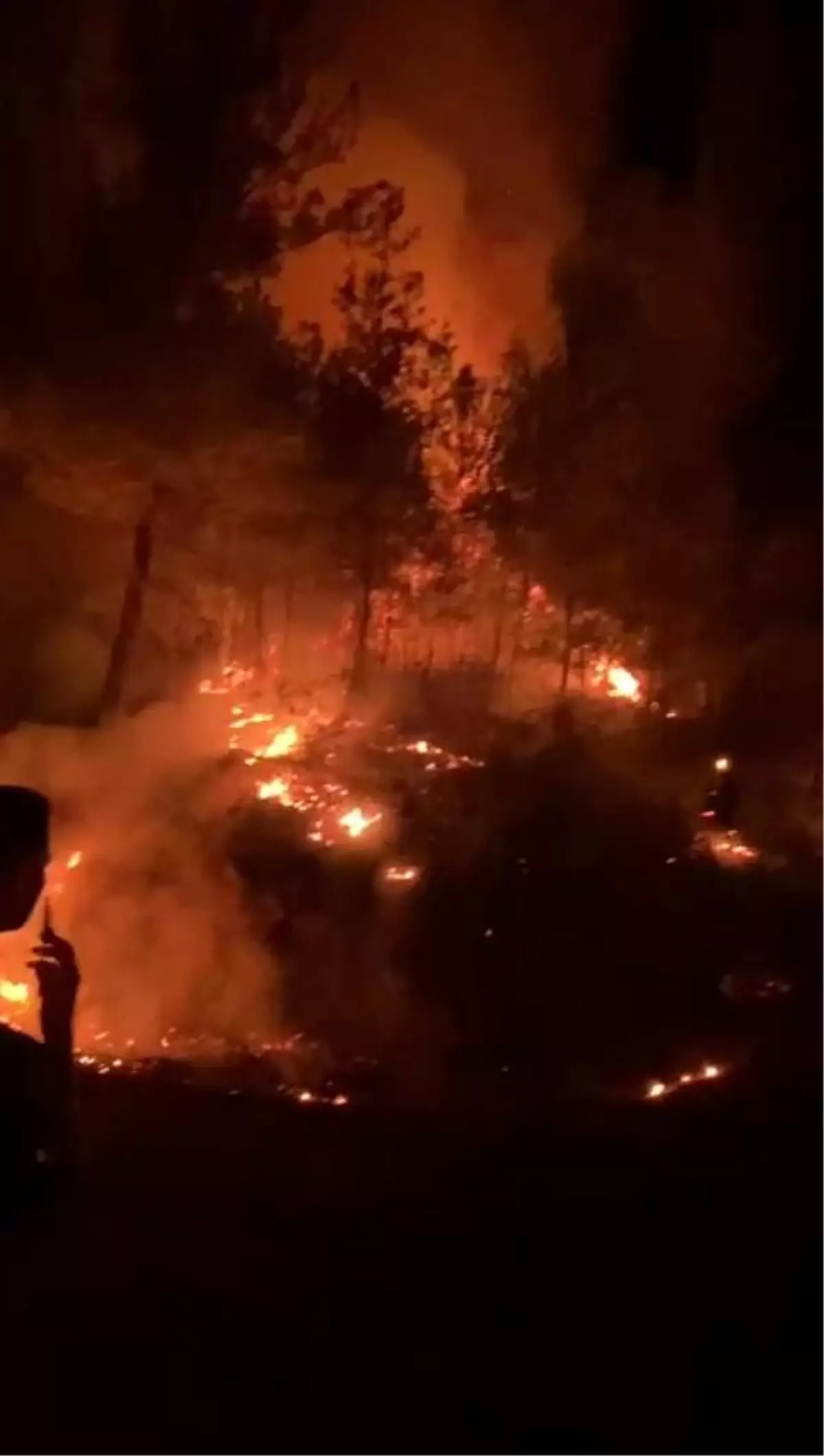 Antalya'da Orman Yangını: Ekipler Müdahaleye Devam Ediyor