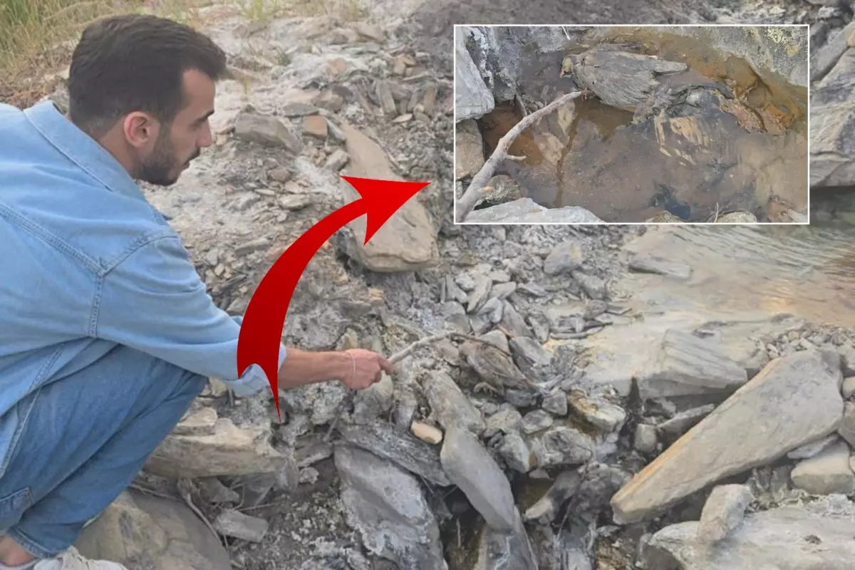 Hakkari'de gizemli vadi! İnsanlara şifa, hayvanlara ölüm getiriyor
