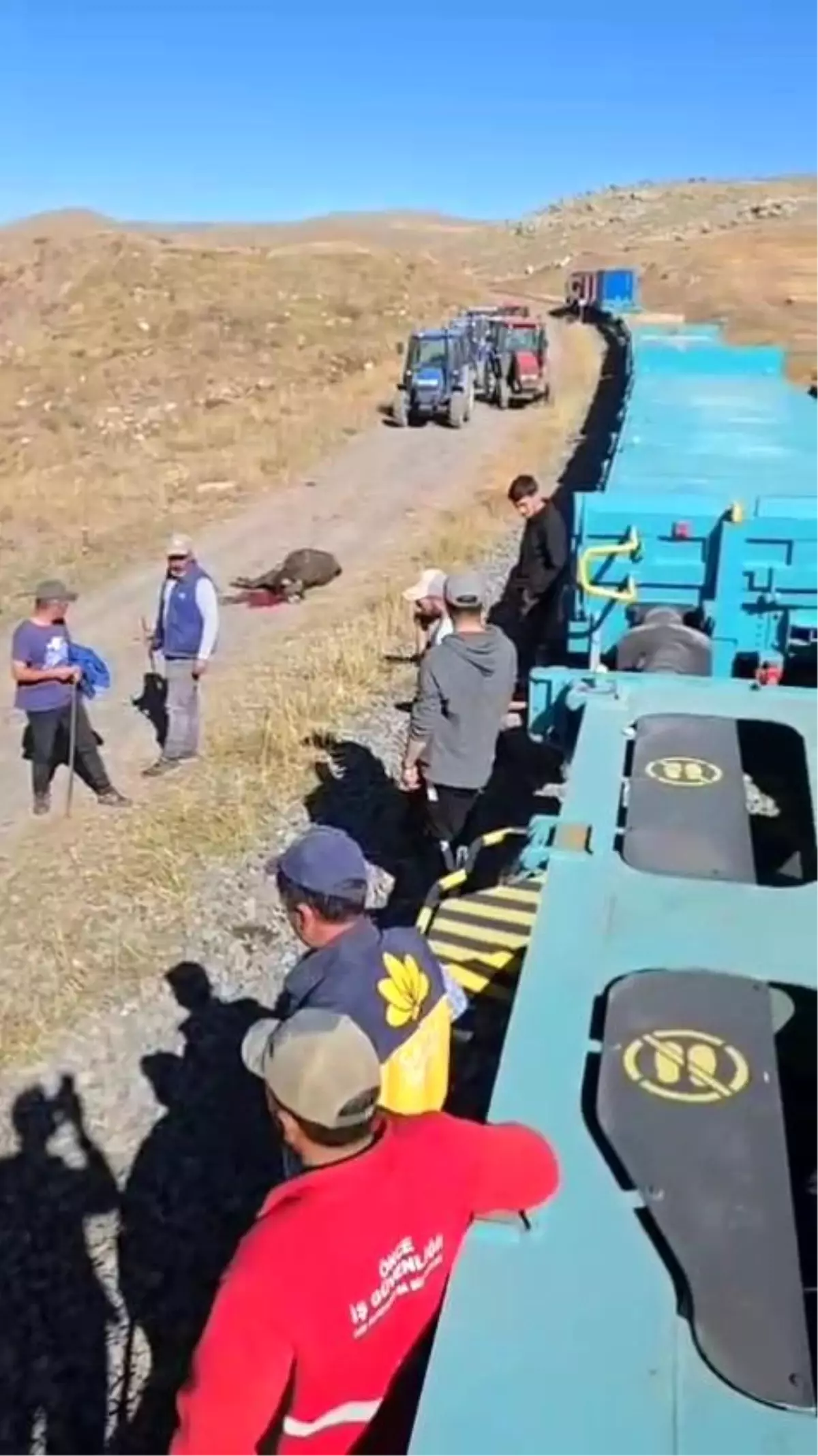 Tren Büyükbaş Hayvanlara Çarptı: 5 Hayvan Telef Oldu