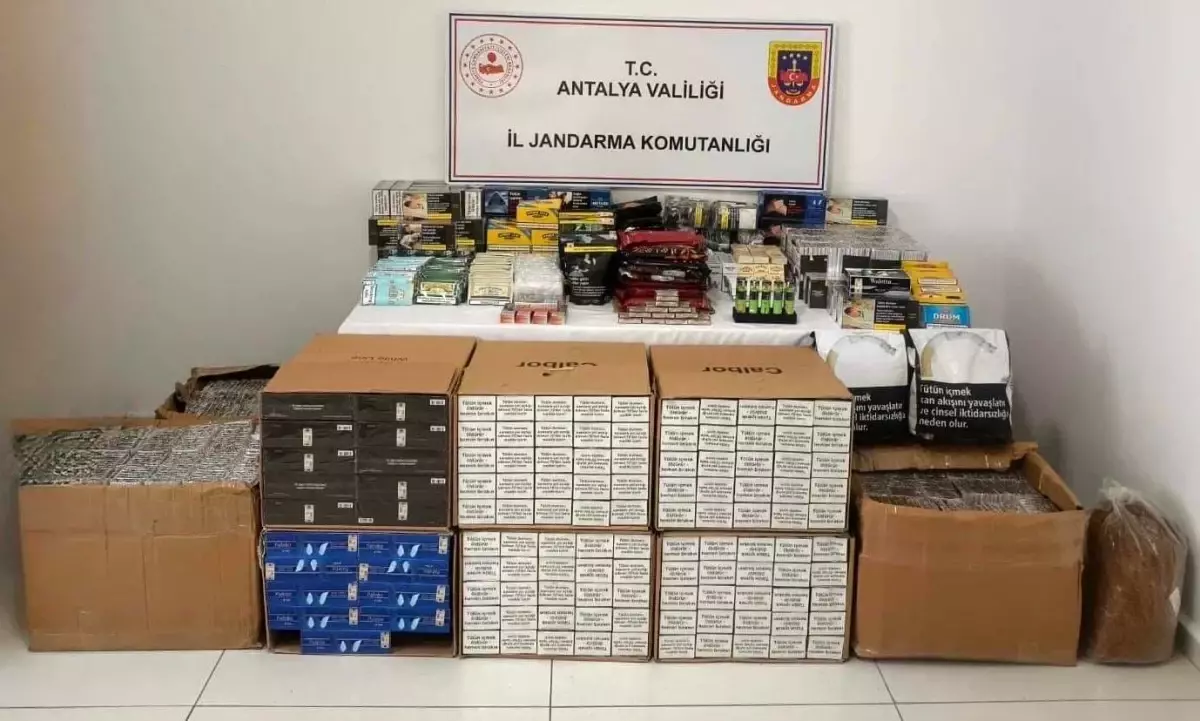 Kaş'ta Jandarma Kaçak Tütün ve Ürünlerine Geçit Vermedi