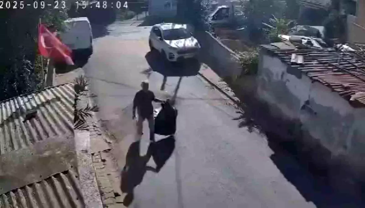 Ümraniye'de Kontrollü Patlatma Anında Sokak Kedileri Panikle Kaçtı