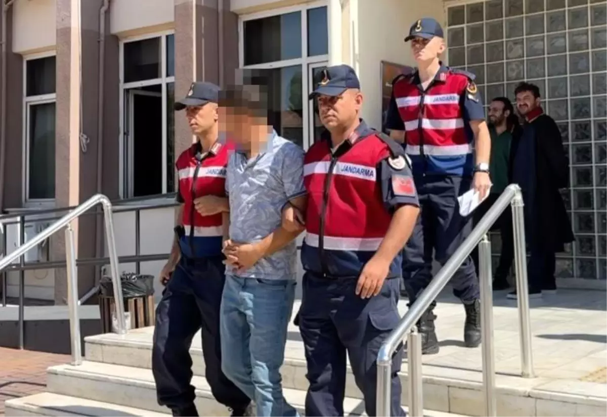 Yaşlı Kadına Çarpan Sürücü Tutuklandı