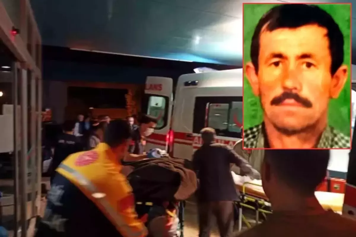 Koyunu kurtarmak isterken canından oluyordu