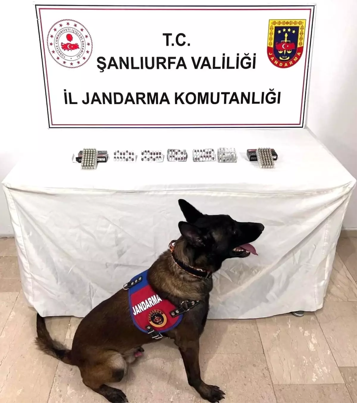 Şanlıurfa'da Uyuşturucu Operasyonu: 60 Hap ve 100 Fişek Ele Geçirildi
