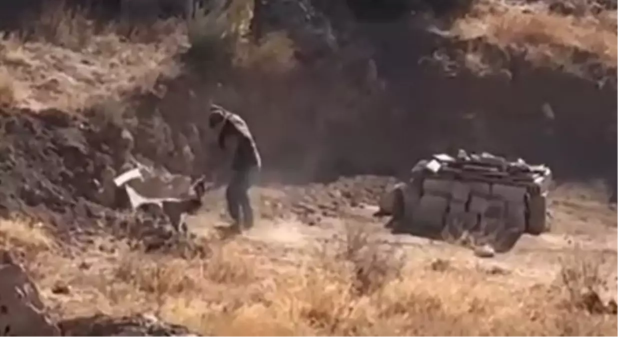 Sivas'ta Yavru Köpeğe Şiddet Uygulayan Şahıs Gözaltına Alındı