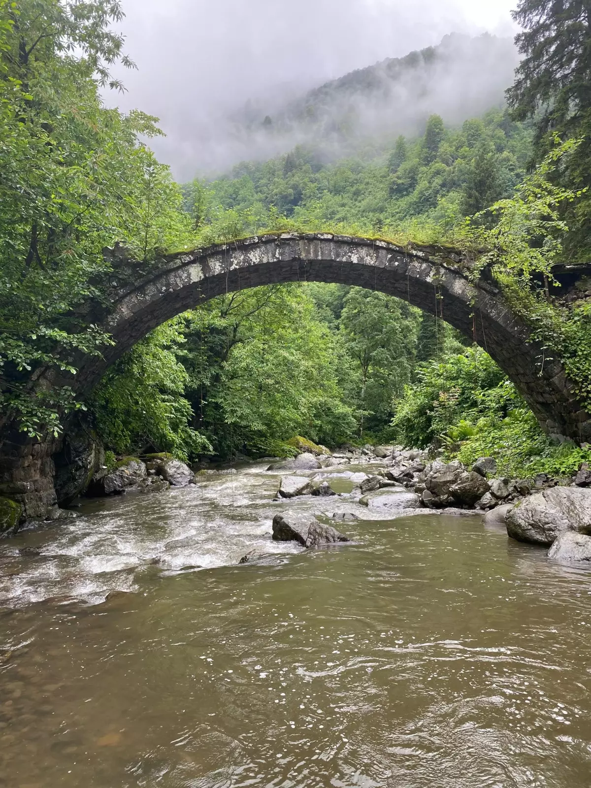 Artvin'de Sel, Tarihi Köprüyü Yıktı